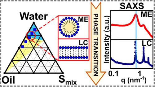 Dependence of Phase Boundary and Interfacial Characteristics of Liquid Crystalline Structures on Surfactant–Cosurfactant Composition