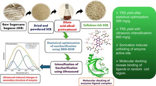 Sonication-Induced Enhancement of Enzymatic Saccharification of Sugarcane Bagasse: Statistical Optimization and Mechanistic Investigation Using Molecular Simulations