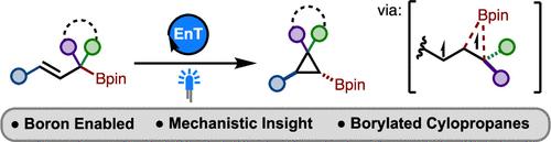 Synthesis of Borylated Orphaned Cyclopropanes through a Boron-Enabled Cycloisomerization Reaction