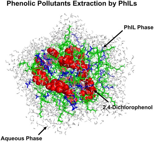 Molecular Insights into Phosphonium-Based Ionic Liquid Extraction of Phenolic Pollutants from Aqueous Solutions