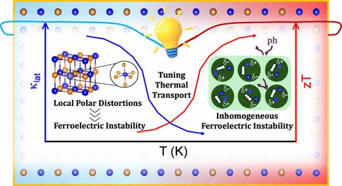 Ferroelectric Instability Driven Unusual Thermal Transport and High Thermoelectric Performance