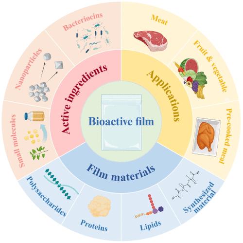 Design and Application of Antibacterial Bioactive Films for Food Preservation: A Review