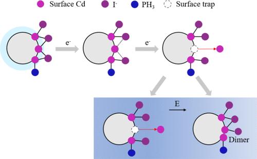 Surface Reconstruction of CdSe Quantum Dots Driven by Electron Accumulation and External Electric Fields