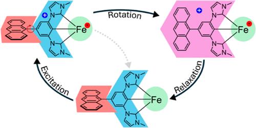 Chromophore Induced Effects in Iron(III) Complexes