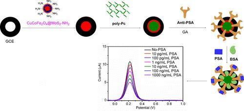 Electrochemical PSA Detection Performance of an Innovative Immunosensor
