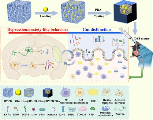 An Olsalazine-Loaded Hollow Mesoporous Prussian Blue/Polydopamine Nanozyme Alleviates Anxiety/Depression-like Behavior and Enhances Brain Neural Activity in Colitis Mice