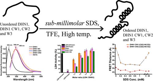 Structural Transitions of Dehydrin in Response to Temperature, the Presence of Trifluoroethanol and Sodium Dodecyl Sulfate, and Its Protective Role in Heat and Cold Stress