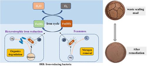 Remediation of Waste Sealing Mud from Moutai: Enhancing Organics and Nitrogen Removal Simultaneously via the Cycle of Indigenous Iron