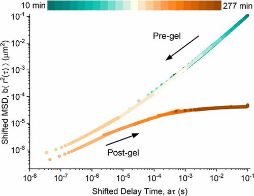 Microrheology of Monoclonal Antibodies during Gelation under Low pH Conditions