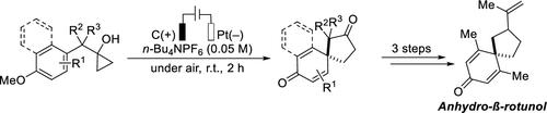 Electrochemically Driven Dearomative Spirocyclization of Anisole-Based Cyclopropanols: Total Synthesis of Anhydro-β-rotunol