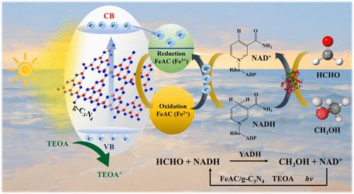 Interfacial-Engineered Fe-Aminoclay/g-C3N4 Heterojunction for Efficient NADH Regeneration and Methanol Production