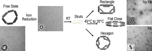 Dynamic Actuation and Hierarchical Assembly of Iron Oxide-Coated DNA Origami