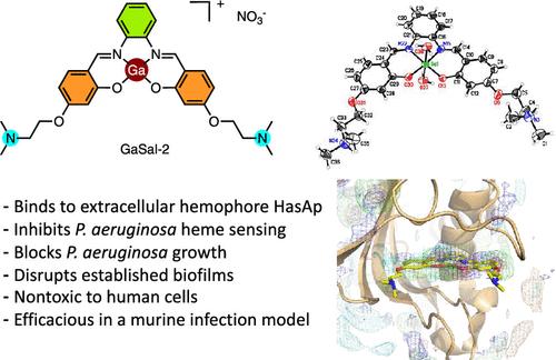 GaSal-2: A Water-Soluble Antipseudomonal Agent Targeting the Extracellular Hemophore HasAp