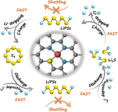 Atomic-Level Asymmetric Regulation of Co–N3S1 Catalysts Accelerates Polysulfide Trapping and Conversion in Lithium–Sulfur Batteries