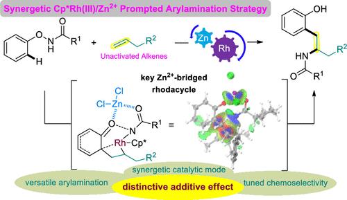 Synergetic Cp*Rh(III)/Zn2+-Prompted Arylamination of Alkylalkenes: Reaction Development and Mechanistic Insight