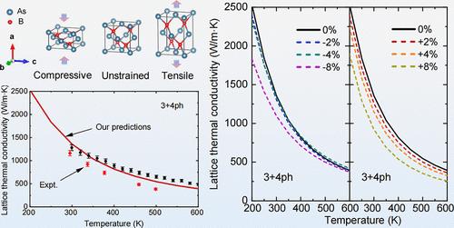 Effects of Uniaxial Strain on the Thermal Conductivity of Boron Arsenide