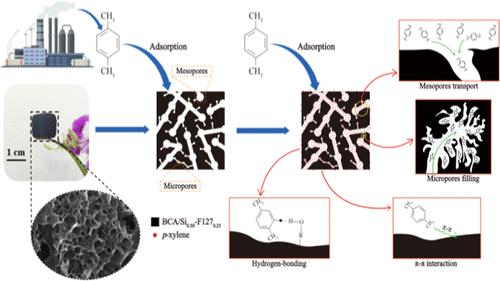 3D Hierarchical Micro-/Mesoporous Biomass Carbon Aerogels with an Ultrahigh Specific Surface Area for Enhanced Adsorptive Removal of Gaseous p-Xylene