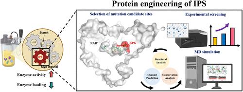 Protein Engineering of an Inositol-1-phosphate Synthase Based on the Active-Site Redesign Facilitates the Biomanufacturing of myo-Inositol from Starch via In Vitro Synthetic Enzymatic Biosystem