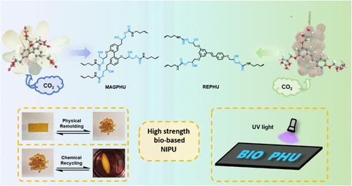 Synthesis and Characterization of Fully Biobased Nonisocyanate Polyurethane with Excellent Mechanical Properties, Recyclability, and Clusteroluminescence