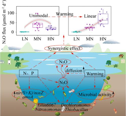 Unraveling Microbial Drivers of Lacustrine N2O Emissions under Synergistic Warming and Eutrophication: Community Dynamics and Functional Gene Responses