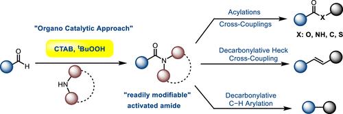 Synthesis of Readily Modifiable Amides from Aldehydes via an Organocatalytic Approach Using a CTAB Surfactant