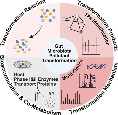 Transformative Forces: The Role of Gut Microbiota in Processing Environmental Pollutants