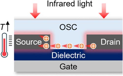 Infrared Detection Achieved by Controlling Thermionic Emission in Organic Transistors