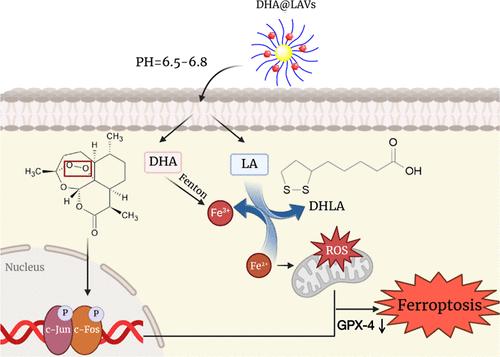 Targeting GPX4-Dependent Ferroptosis via a Dihydroartemisinin-Conjugated Cross-Linked Lipoic Acid Nanodrug for Endometrial Carcinoma Therapy