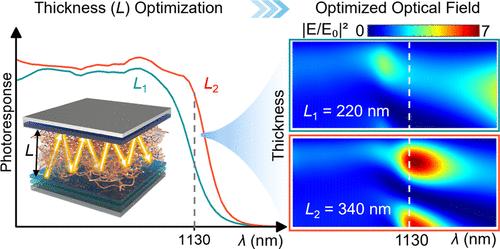 Near-Infrared Organic Photodetectors with Tailored Junction Thickness for Resonance-Enhanced Photoresponse and Suppressed Dark Current
