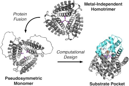 A De Novo Designed Protein with Versatile Metal Binding and Tunable Hydrolytic Activity