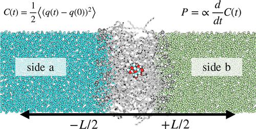 Membrane Permeability of Sucrose Calculated from Equilibrium Time-Correlation Functions Using Molecular Dynamics Simulations with Enhanced Sampling