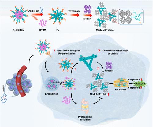 An Enzyme-Catalyzed Polymerization Strategy Disrupts Protein Homeostasis for Improved Tumor Therapy