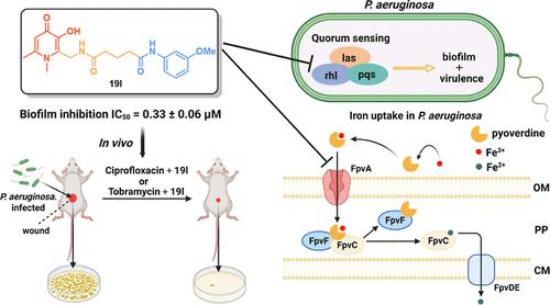 Discovery of Dual-Acting Biofilm Inhibitors against Pseudomonas aeruginosa by the Coupling of 3-Hydroxypyridin-4(1H)-ones with N-Phenylamide QS Inhibitors