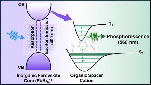 Harnessing Excited-State Energy Transfer for the Activation of Dark Triplet Excitons and Phosphorescence in Hybrid Organic–Inorganic 2D Perovskite
