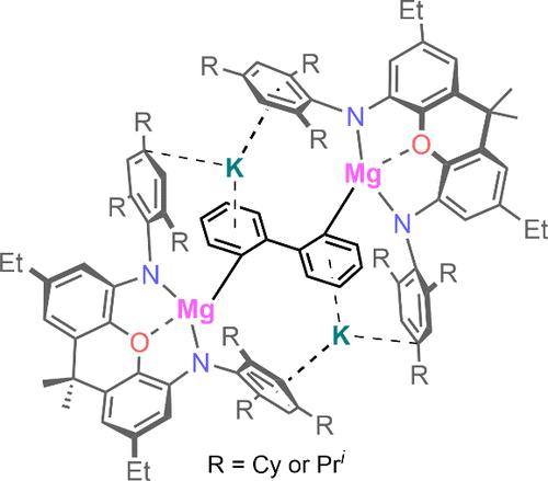 Flash Communication: Ring-Opening of Biphenylene with Magnesium(I) and Magnesium–Dinitrogen Complexes