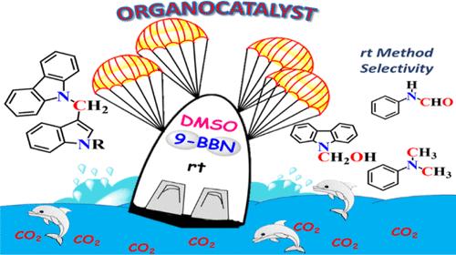 The DMSO-Catalyzed CO2 Reduction with 9-BBN as a Source for the Selective N-Formylation, Room Temperature N-Methylation of Amines, N-Hydroxymethylation of Heterocycles, and C–N Couplings