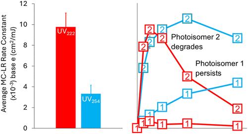 Comparison of Microcystin-LR Degradation by UV222 and UV254