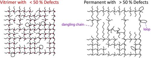 Impact of Cross-Link Density on Polybutadiene Permanent and Vitrimer Networks