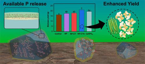 Development of a Nanosulfur–Biopolymeric Coating Composite for Rock Phosphate: Transforming a Mineral into a Fertilizer