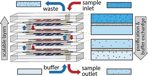 Multilayer Counterflow Microdialysis Chips for Scalable Buffer Exchange and Sample Purification