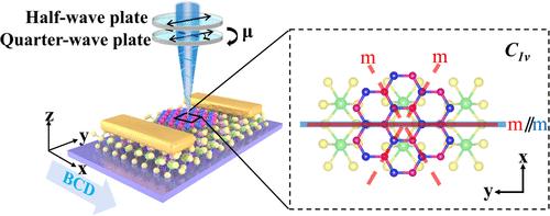 Interfacial Mirror Symmetry Breaking Induced Helicity-Dependent Photocurrents in hBN/CrPS4 Heterostructure