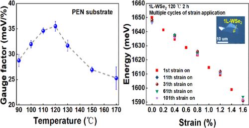 Enhanced Strain Modulation Efficiency in Two-Dimensional Materials via Optimal Annealing