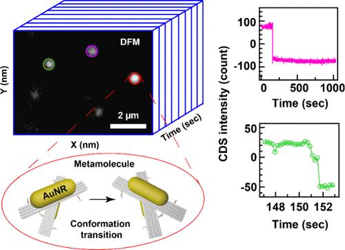 Dynamics of Reconfigurable Plasmonic Metamolecules Characterized by High-Throughput Time-Resolved Circular Differential Scattering