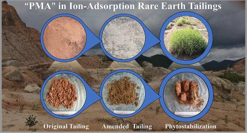 Synergistic Roles of Plant–Microbe Interactions and Soil Aggregate Dynamics in the Phytostabilization of Ion-Adsorption Rare Earth Tailings
