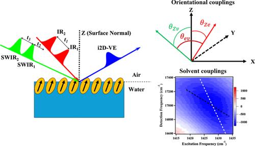 Orientational and Solvent Couplings of Molecules at Interfaces by Interface-Specific Two-Dimensional Vibrational-Electronic (i2D-VE) Spectroscopy
