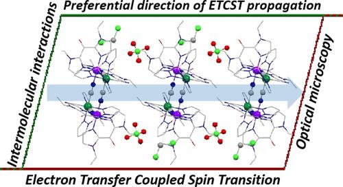 Unveiling Phase Transition Dynamics Using Cryogenic Optical Microscopy in a Charge-Transfer Fe2Co2 Switchable Molecular Material
