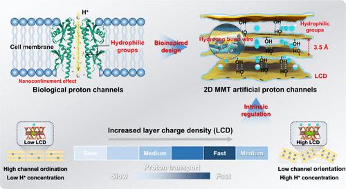 Bioinspired Tunable Subnanochannels in Two-Dimensional Montmorillonite Membranes for Fast and Stable Proton Transport