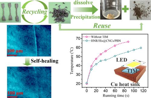 Malleable, Self-Healing, and Highly Thermally Conductive Interface Material Enabled by Interfacial Networks for Thermal Management