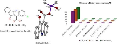 Indeno[1,2-b]-quinoline carboxylic acids and their dimethylgallium(III) complexes: Evaluation of their efficacy as antibacterial agents