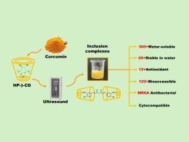 Ultrasound-enhanced bioaccessibility and pharmacological activities of curcumin in inclusion complexes